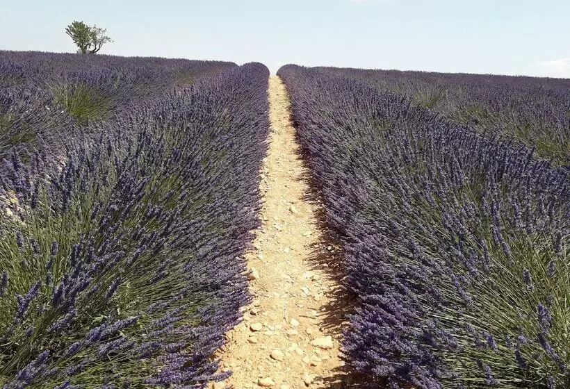 Отель Le Mas Du Colombier