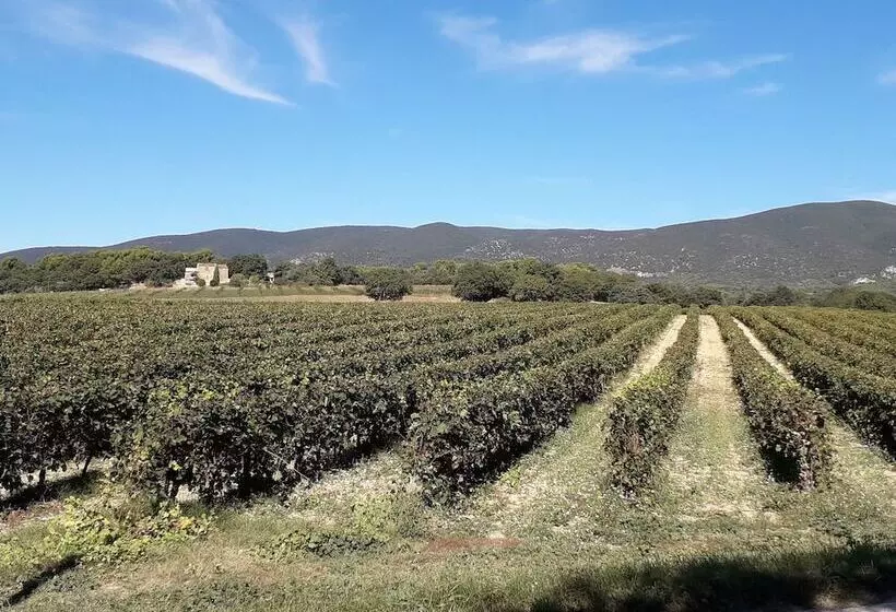 Отель Le Mas Du Colombier
