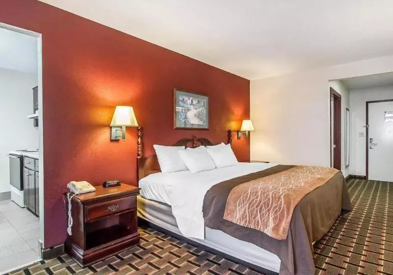 酒店 Quality Inn Edmund Pettus Bridge Area