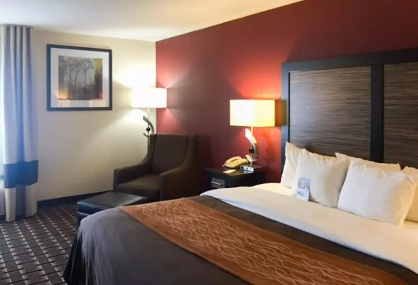 酒店 Quality Inn Edmund Pettus Bridge Area