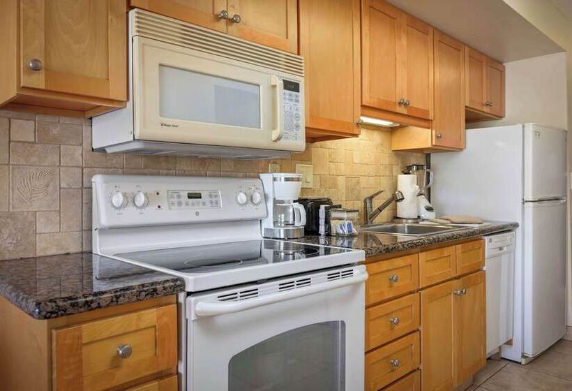 Maui Kaanapali Villas #d271