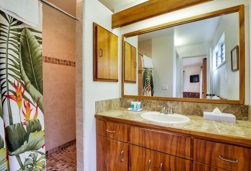 Castle Kanaloa At Kona