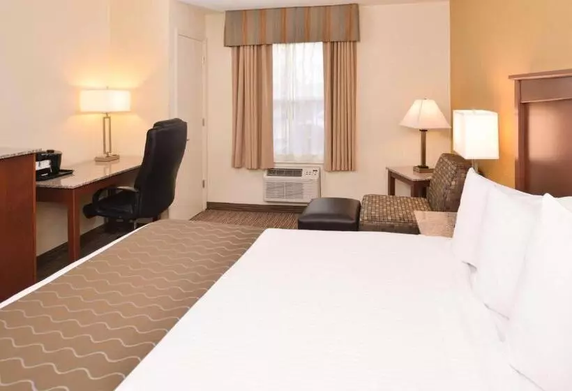 فندق Best Western Executive Inn & Suites
