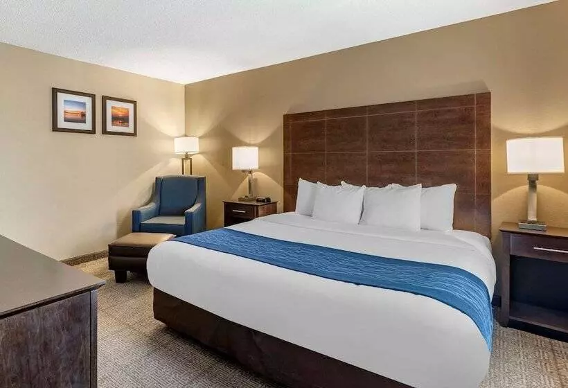 Отель Comfort Inn & Suites Bryant   Benton
