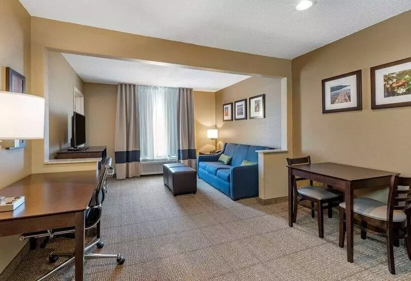 Отель Comfort Inn & Suites Bryant   Benton