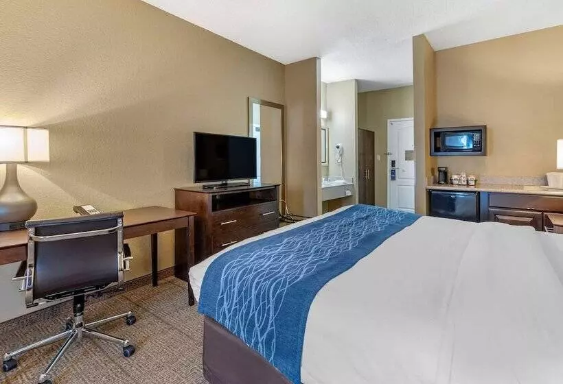 Отель Comfort Inn & Suites Bryant   Benton