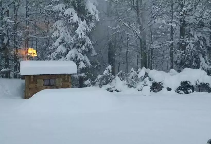 ホテル Flor Alpes