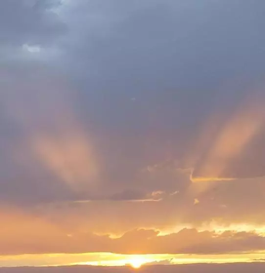 ホテル Hôtel Des Princes