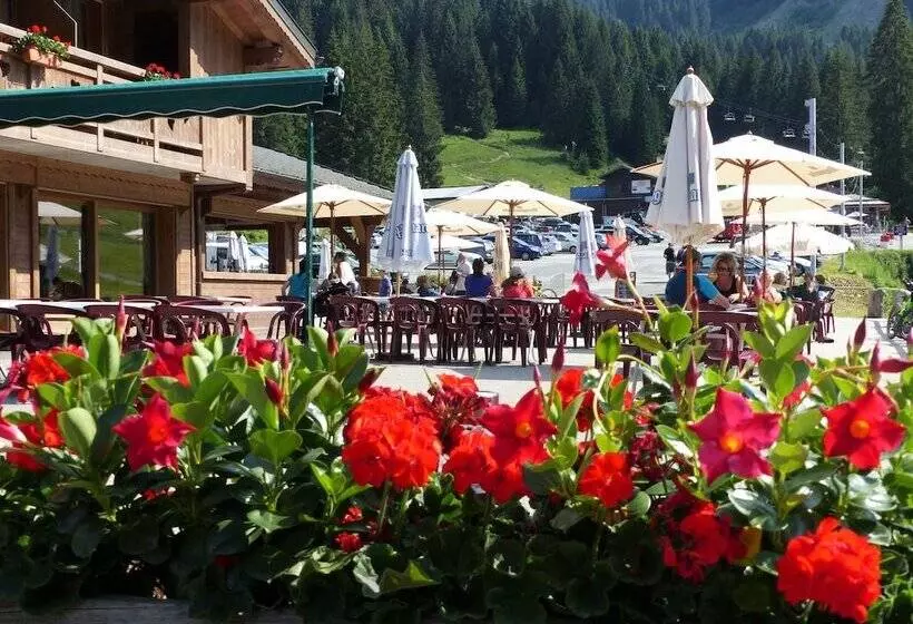 호텔 La Perdrix Blanche