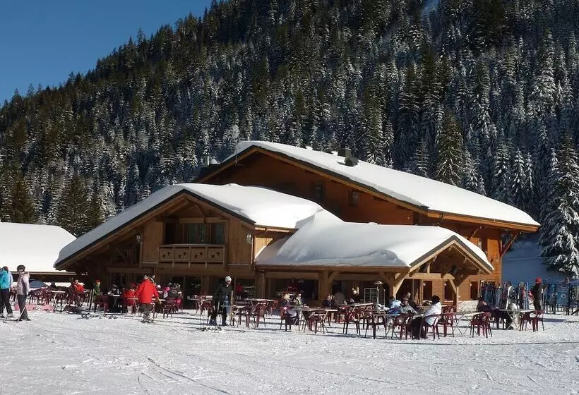 호텔 La Perdrix Blanche