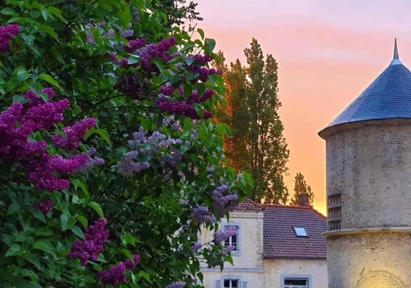 ホテル Logis Auberge Du Colombier