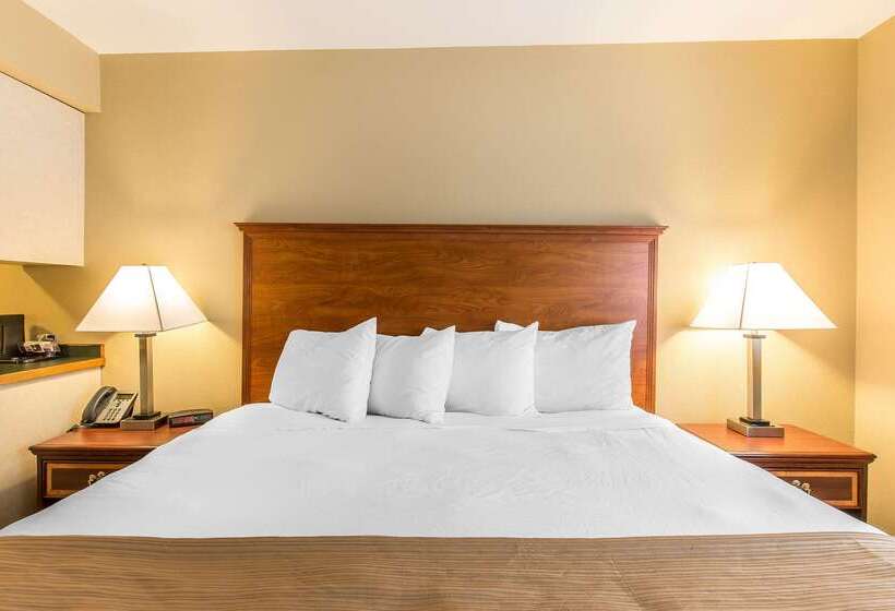 酒店 Quality Inn & Suites On The River