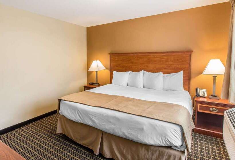 酒店 Quality Inn & Suites On The River