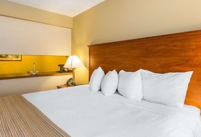 酒店 Quality Inn & Suites On The River