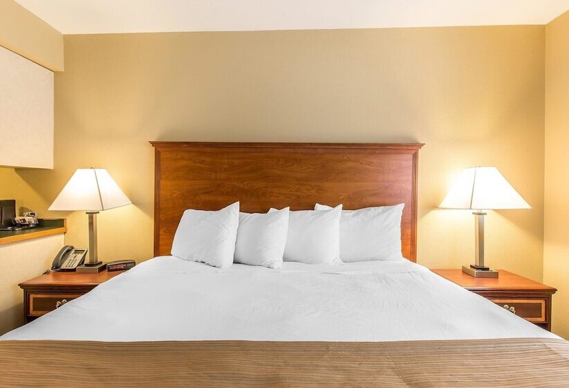 酒店 Quality Inn & Suites On The River