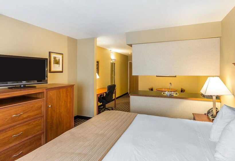 酒店 Quality Inn & Suites On The River