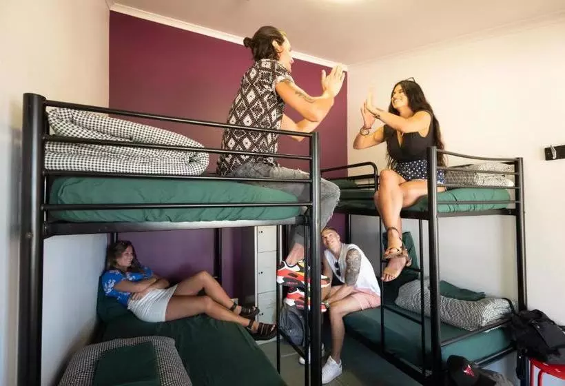 ホテル Hunter Valley Yha Hostel