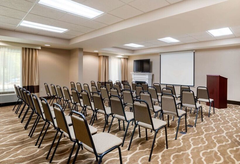 Hotel Comfort Suites Tallahassee Downtown