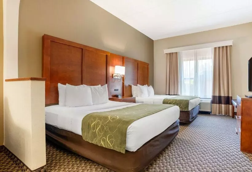 酒店 Comfort Suites Tallahassee Downtown