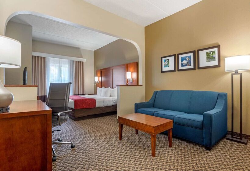 Hotel Comfort Suites Tallahassee Downtown