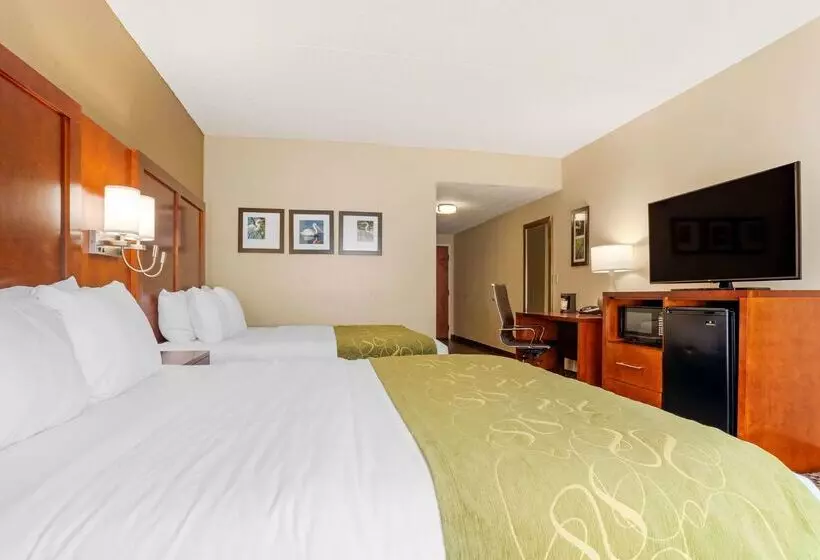 酒店 Comfort Suites Tallahassee Downtown