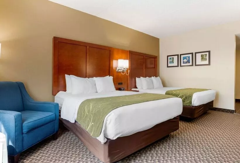 酒店 Comfort Suites Tallahassee Downtown
