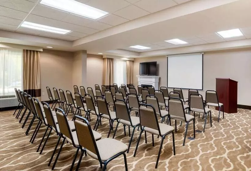 酒店 Comfort Suites Tallahassee Downtown