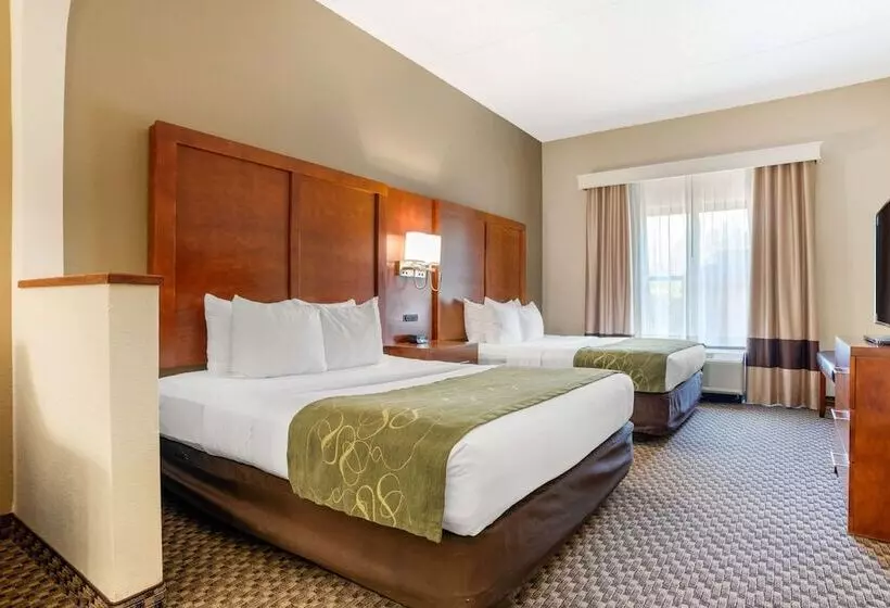 酒店 Comfort Suites Tallahassee Downtown