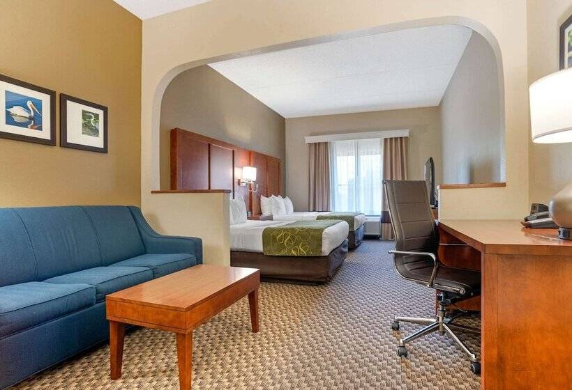 Hotel Comfort Suites Tallahassee Downtown