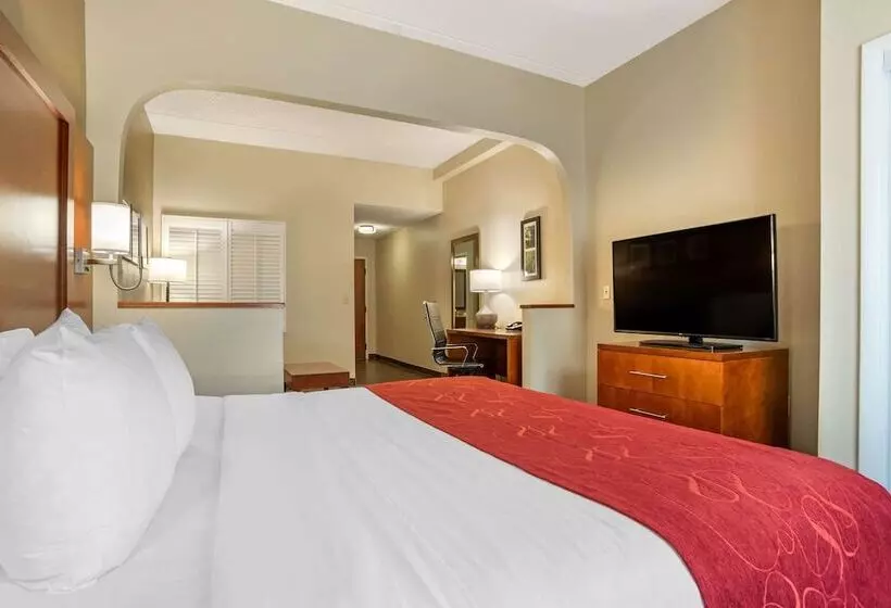 酒店 Comfort Suites Tallahassee Downtown