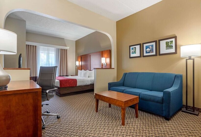 Hotel Comfort Suites Tallahassee Downtown