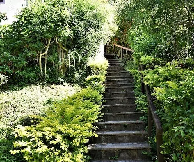 ホテル Hibiscus Beach