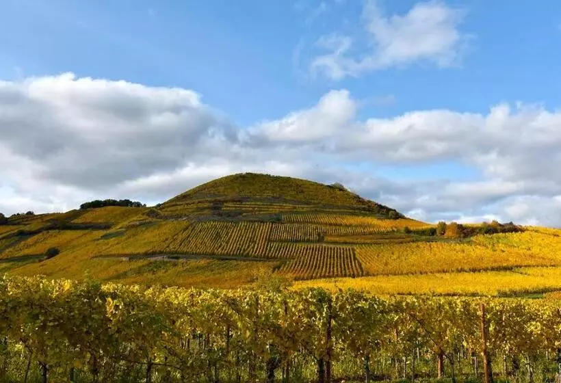 فندق Hôtel De L'ange