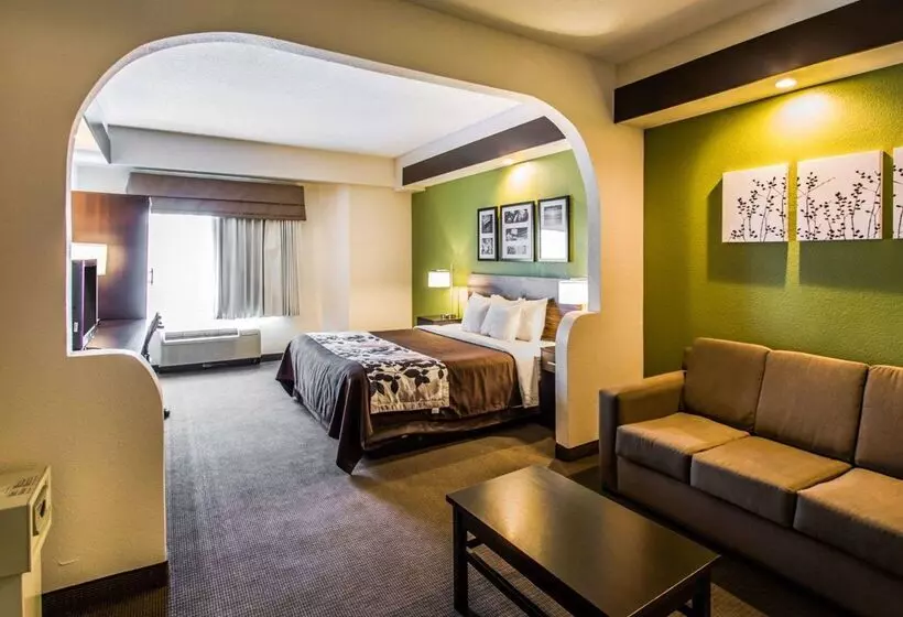 هتل Sleep Inn & Suites Orlando International Airport