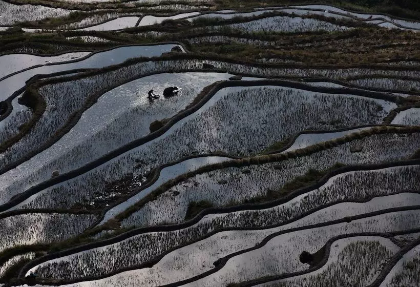 Majatalo Beyond The Cloud