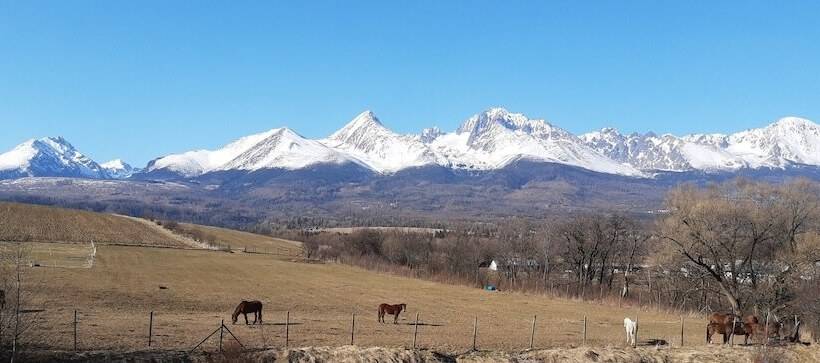 ペンション Bluebell