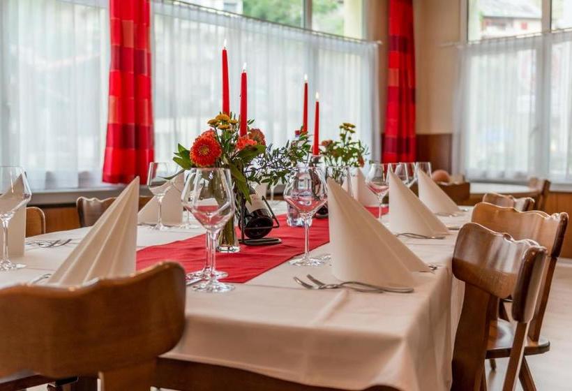 Пансион Du Pont