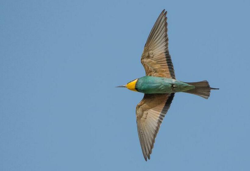 Пансион Vila Bea