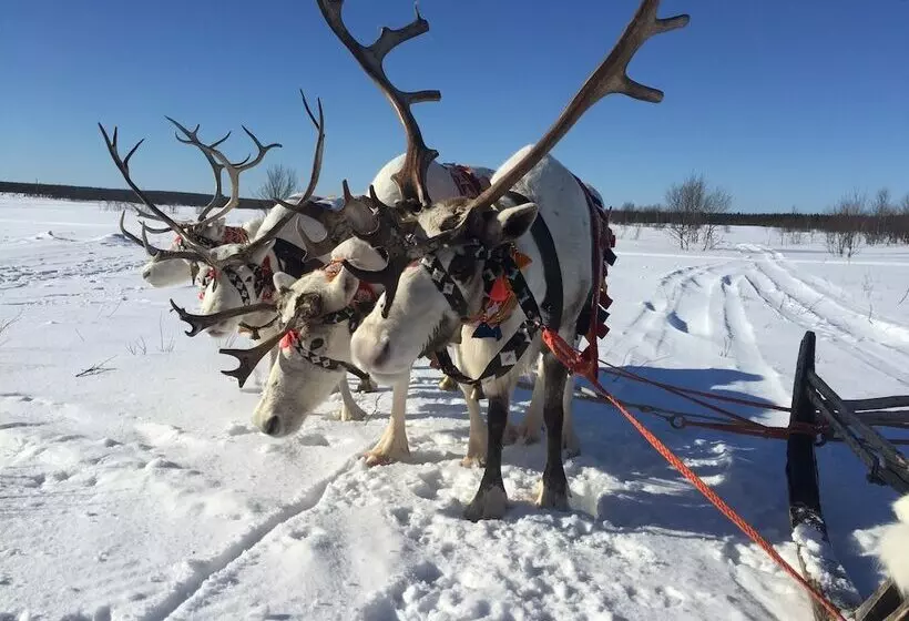 リゾートホテル Bear Corner Lodge