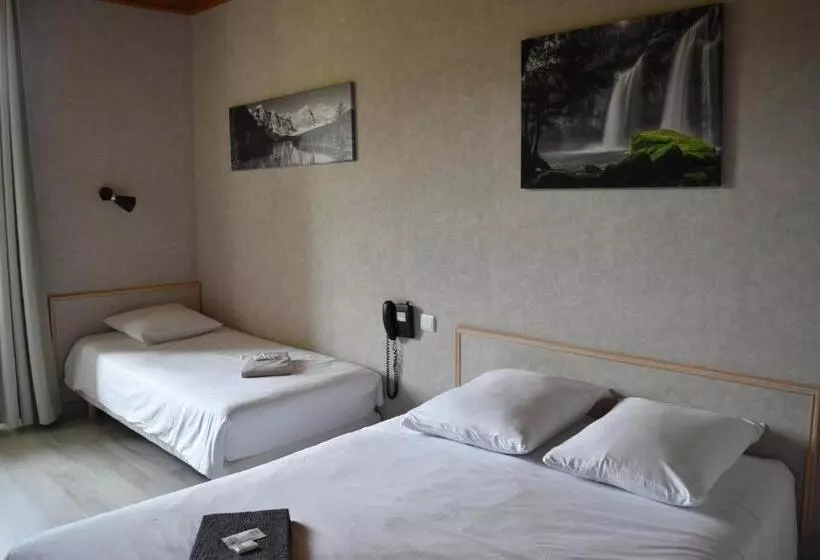 Отель Hôtel Restaurant Des Lacs