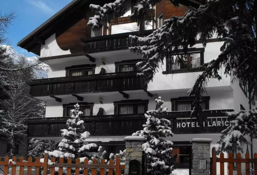 فندق I Larici