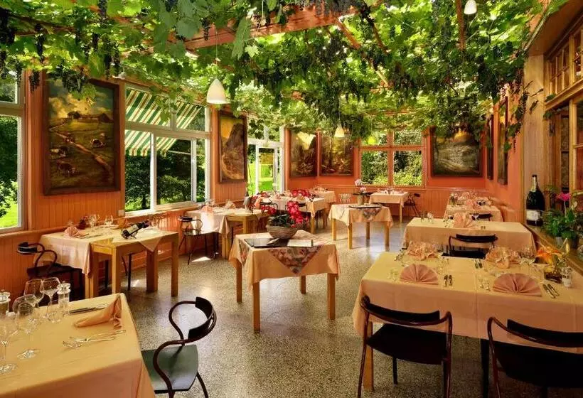 Logis Hotel Des Vosges