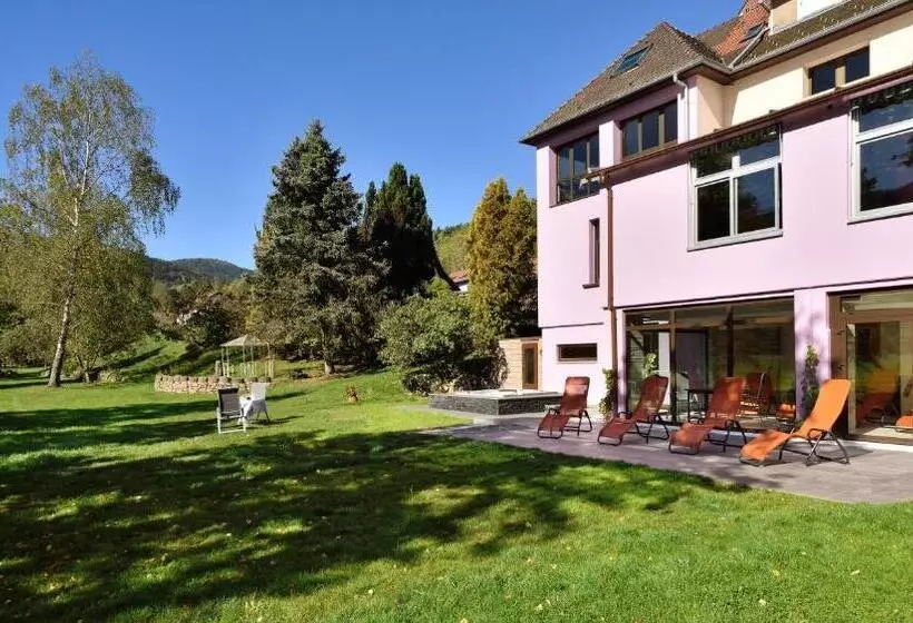 Logis Hotel Des Vosges