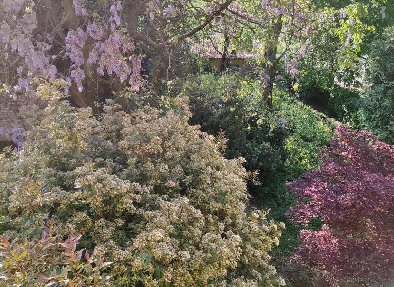 تختخواب و صبحانه Villa Ghia