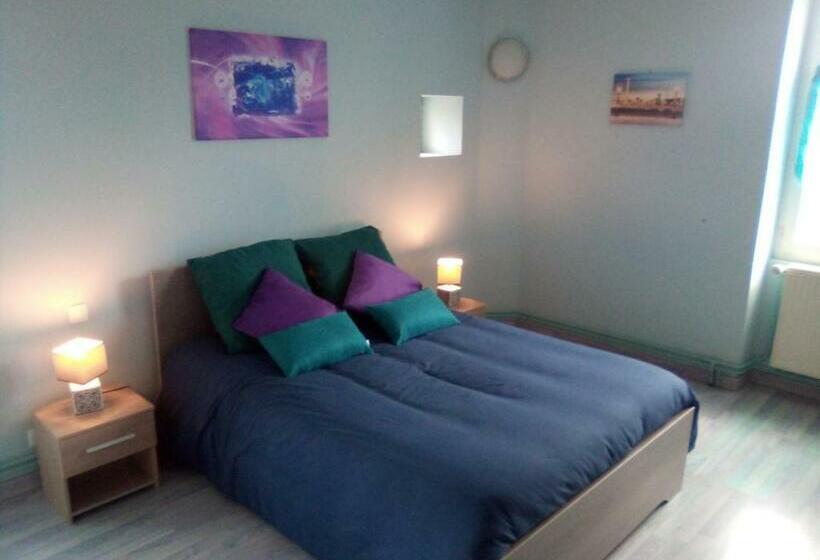 بنسيون L Octodon