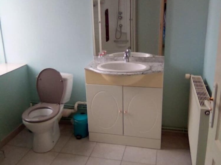 بنسيون L Octodon