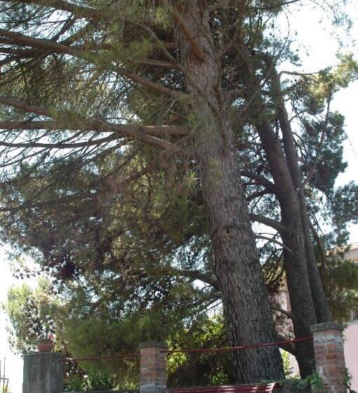 B&b Sotto I Pini