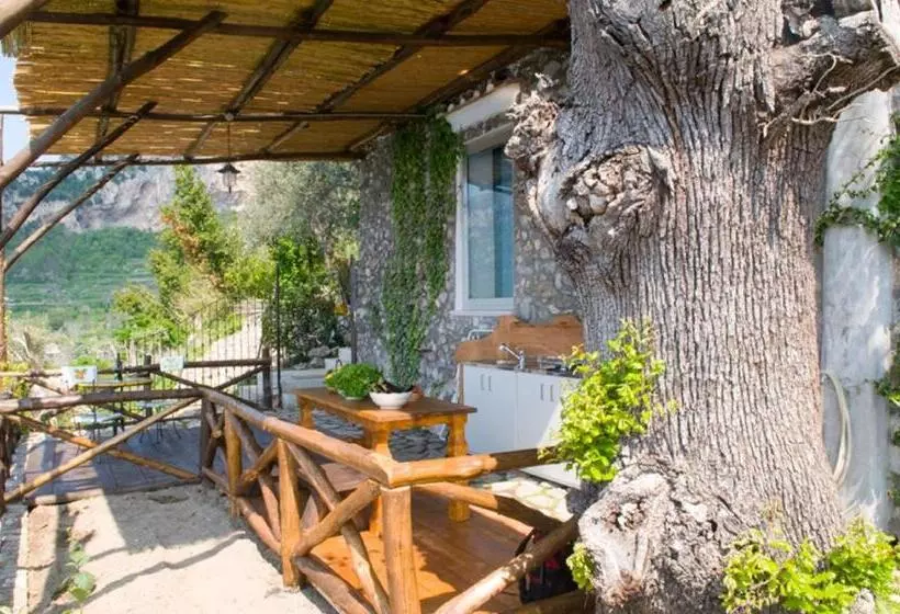 مسافرخانه Fattoria La Tagliata