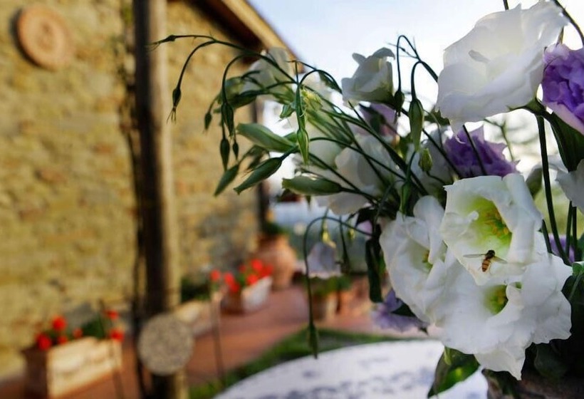 Сельский отель Agriturismo Podere Picciolo