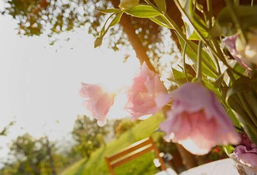 Сельский отель Agriturismo Podere Picciolo